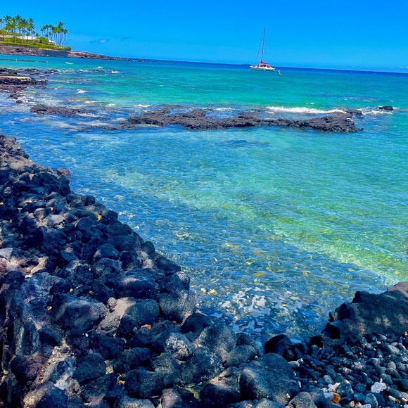 Meet your Posher, Alia - Picture 6 of 6